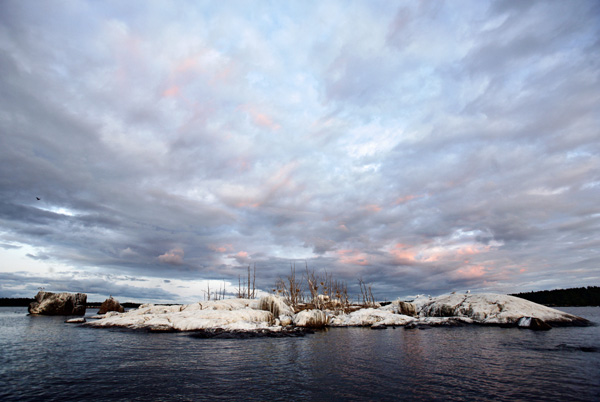 Merimetsosaari